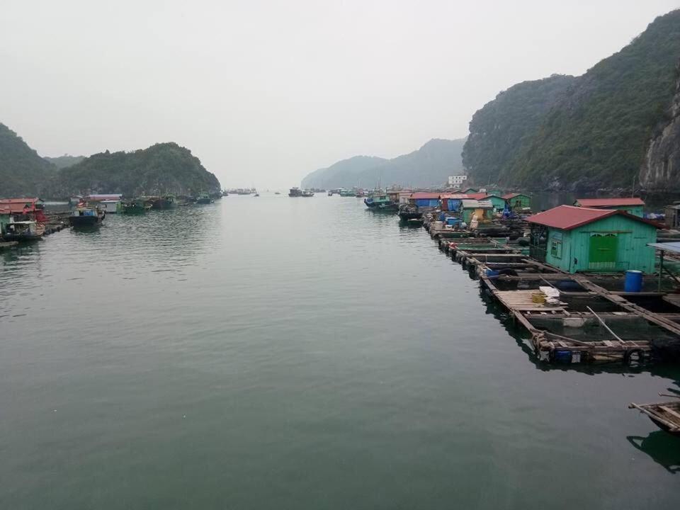 Cat Ba Daily Life Hotel Dong Khe Sau Kültér fotó